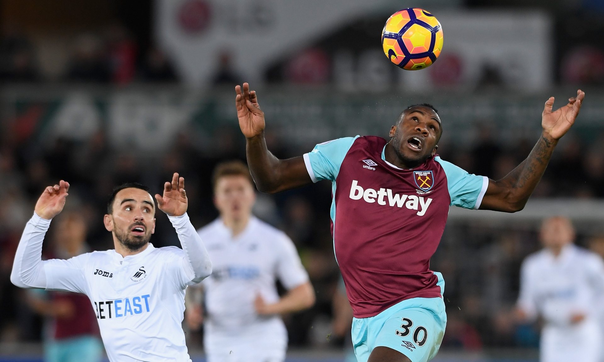 供了不可多 供了不可多