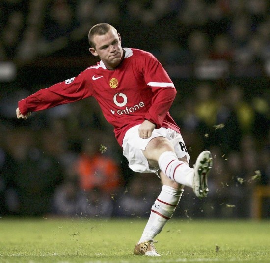 们提供了视 们提供了视